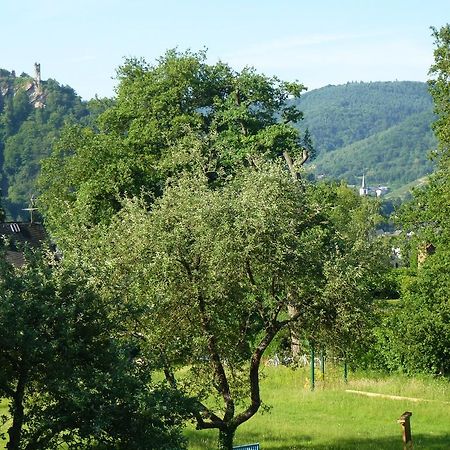 Feriendomizil Im Plantert Apartamento Traben-Trarbach Exterior foto
