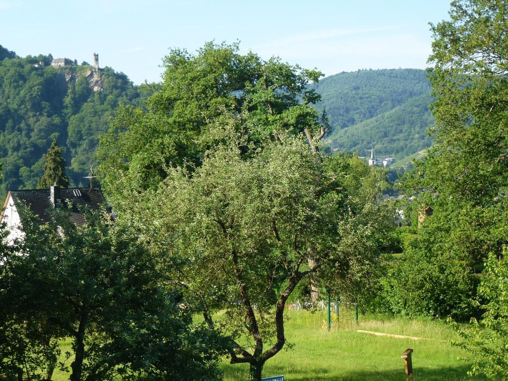 Feriendomizil Im Plantert Apartamento Traben-Trarbach Exterior foto